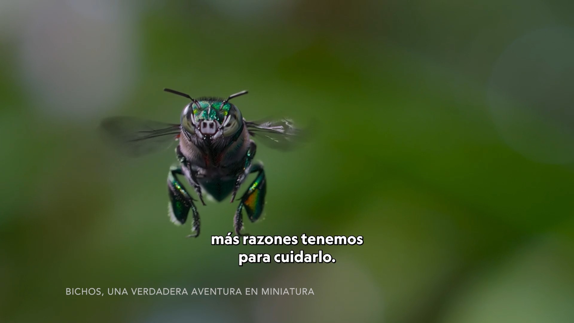 NATIONAL GEOGRAPHIC | Earth Month TV Promo Voiceover